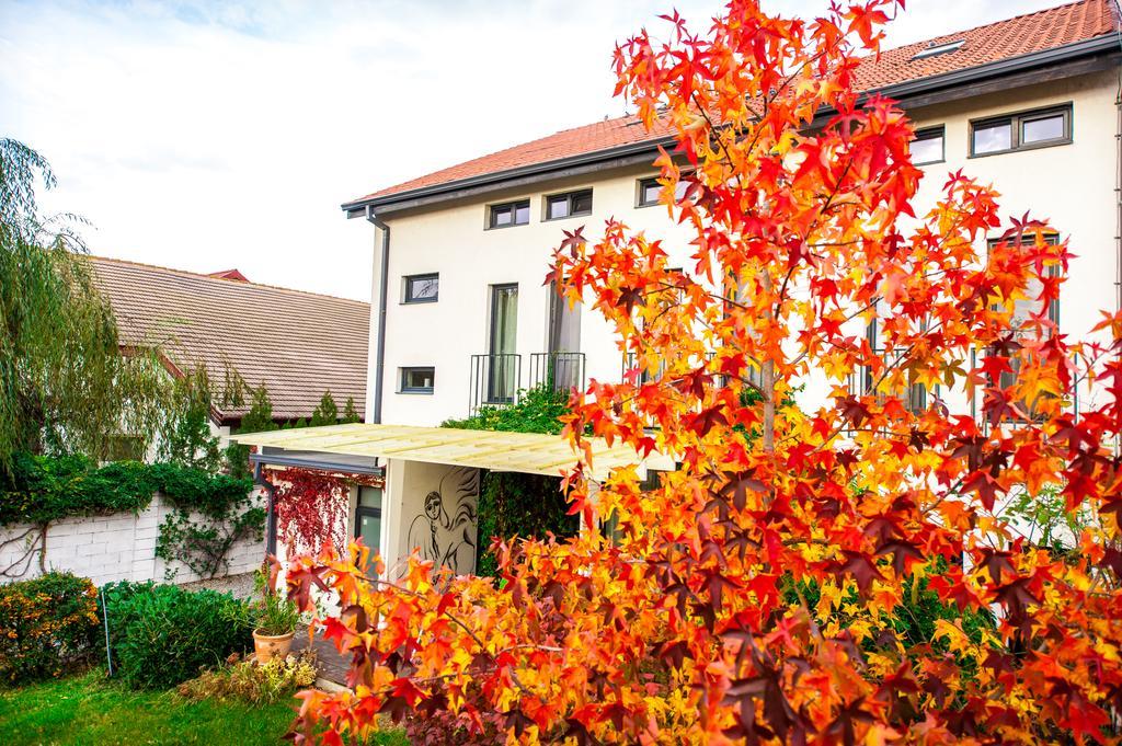May Residence Dumbravita  Екстериор снимка