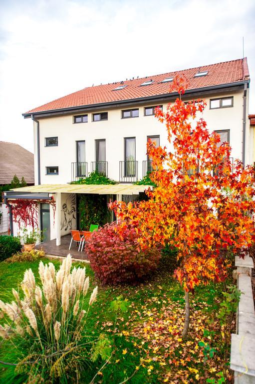 May Residence Dumbravita  Екстериор снимка