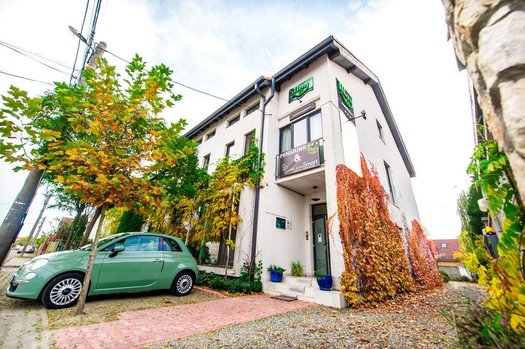 May Residence Dumbravita  Екстериор снимка